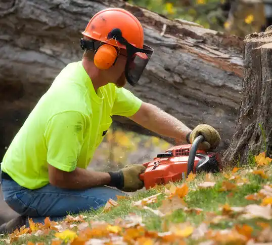 tree services Larchmont